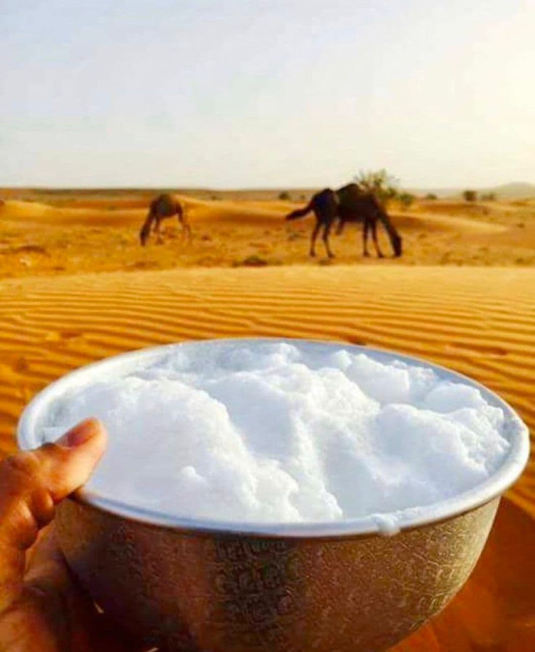 Sahara Desert Adventure - image 3