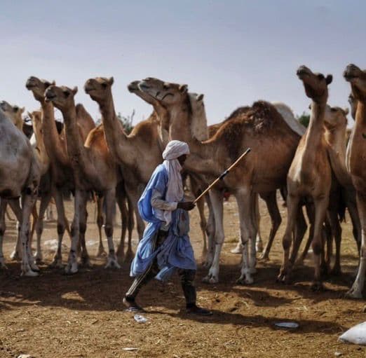 Cultural City Tour - image 2